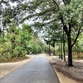 Review photo of Myrtle Beach State Park Campground by Britt B., January 23, 2021