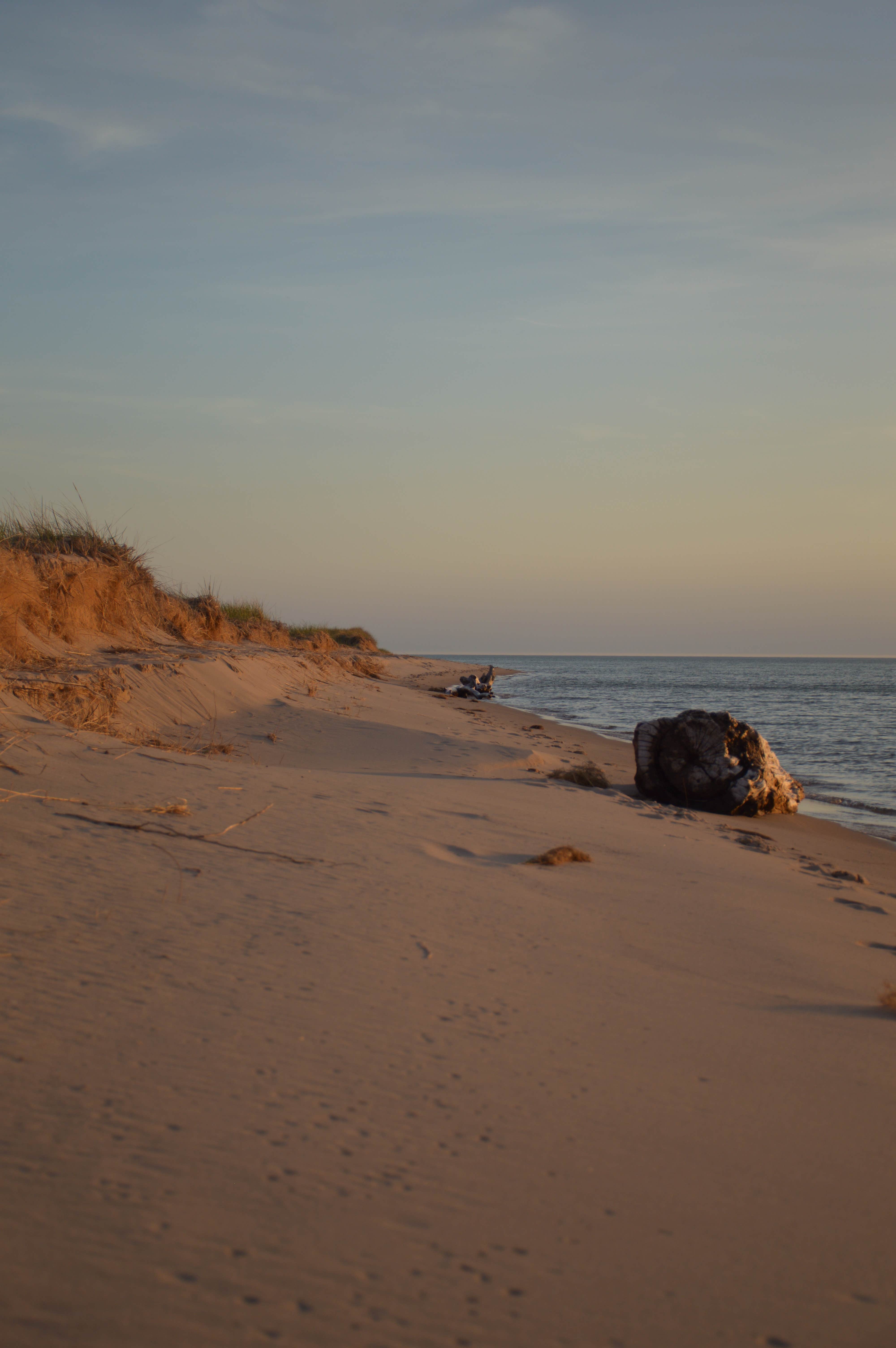 Nordhouse Dunes Wilderness