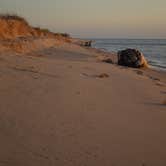 Review photo of Nordhouse Dunes Wilderness by Anna C., May 28, 2018