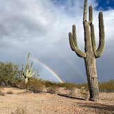 Review photo of BLM Ironwood Forest National Monument - Pipeline Rd Dispersed camping by Angela G., January 23, 2021