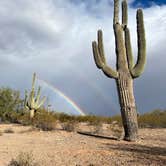 Review photo of BLM Ironwood Forest National Monument - Pipeline Rd Dispersed camping by Angela G., January 23, 2021