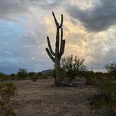 Review photo of BLM Ironwood Forest National Monument - Pipeline Rd Dispersed camping by Angela G., January 23, 2021