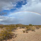 Review photo of BLM Ironwood Forest National Monument - Pipeline Rd Dispersed camping by Angela G., January 23, 2021