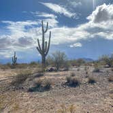 Review photo of BLM Ironwood Forest National Monument - Pipeline Rd Dispersed camping by Angela G., January 23, 2021