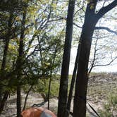Review photo of Nordhouse Dunes Wilderness by Anna C., May 28, 2018