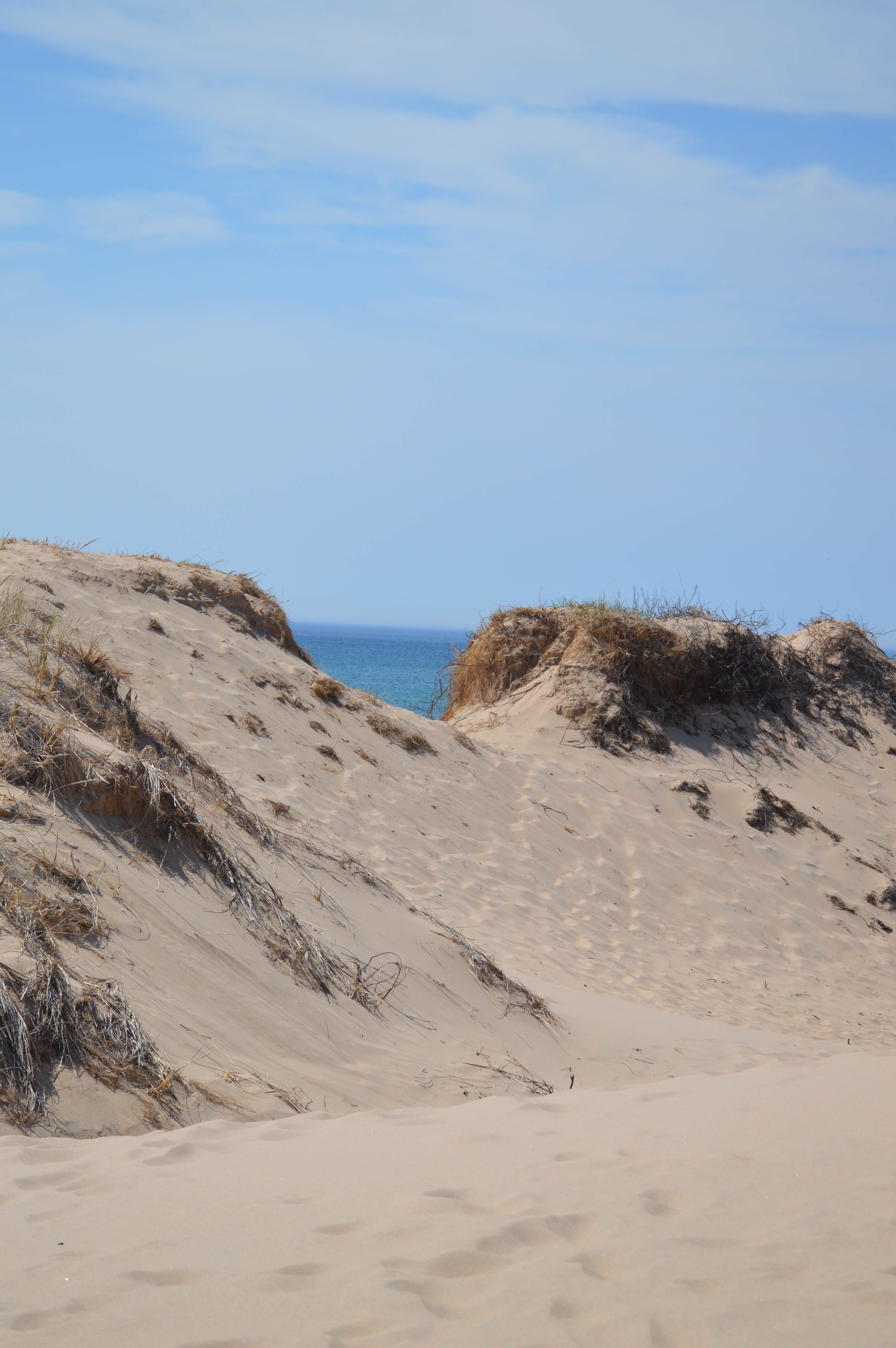 Camper submitted image from Nordhouse Dunes Wilderness - 4