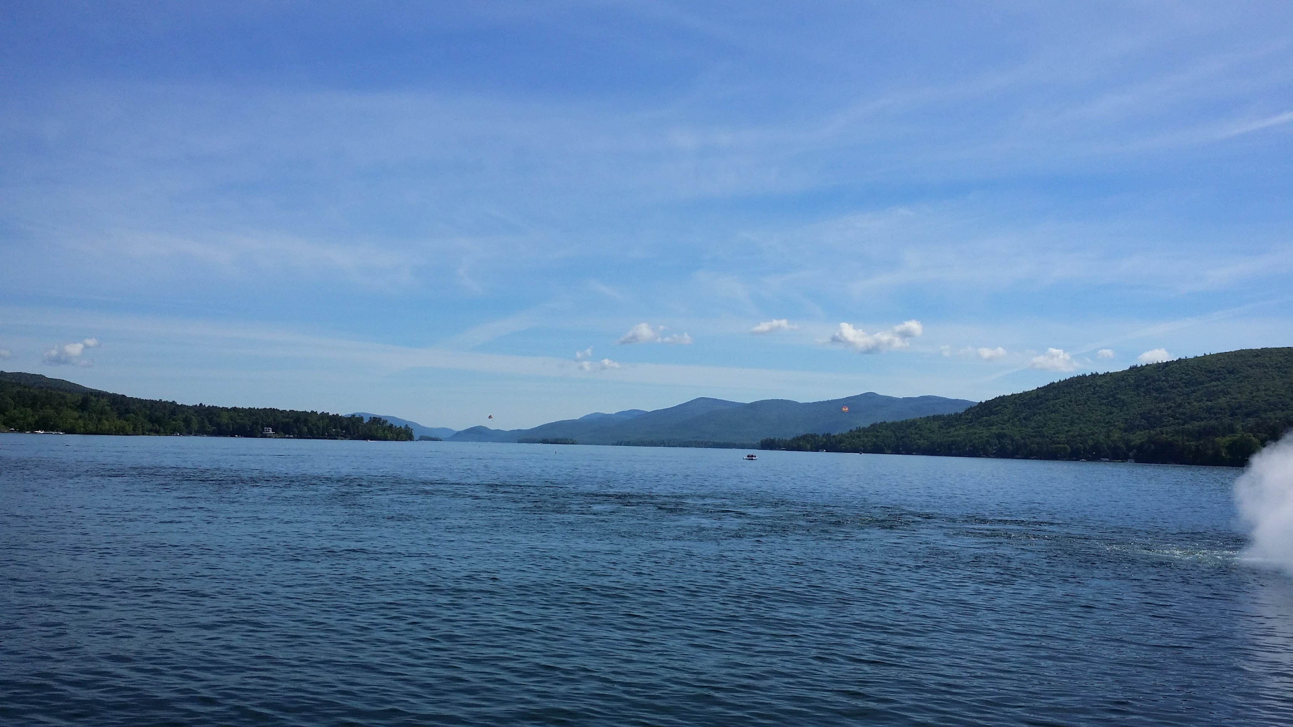 View All