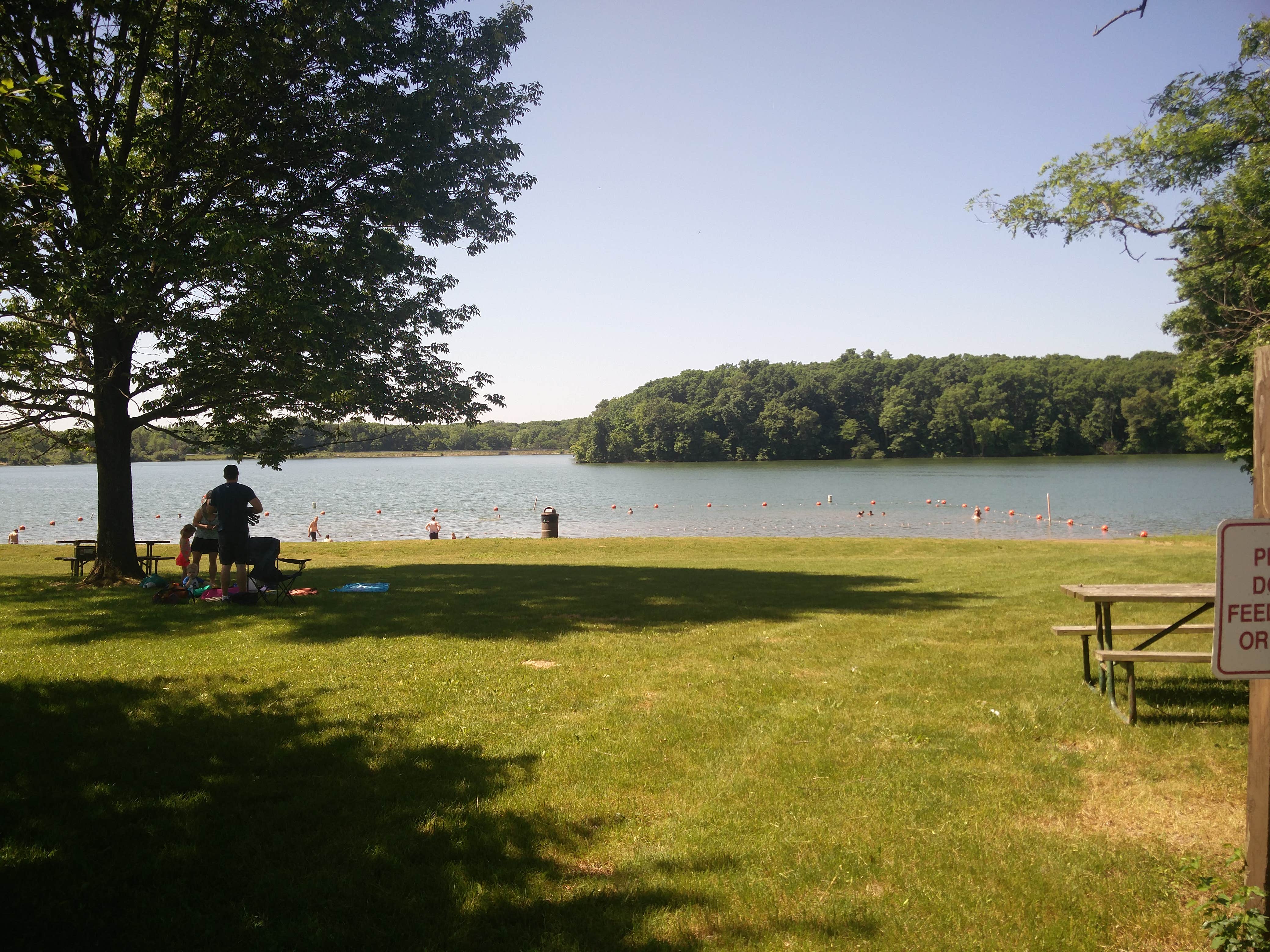 Camper submitted image from Moraine View State Recreational Area - 3