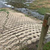 Review photo of Brazos Bend State Park Campground by Becky B., January 23, 2021