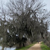 Review photo of Brazos Bend State Park Campground by Becky B., January 23, 2021