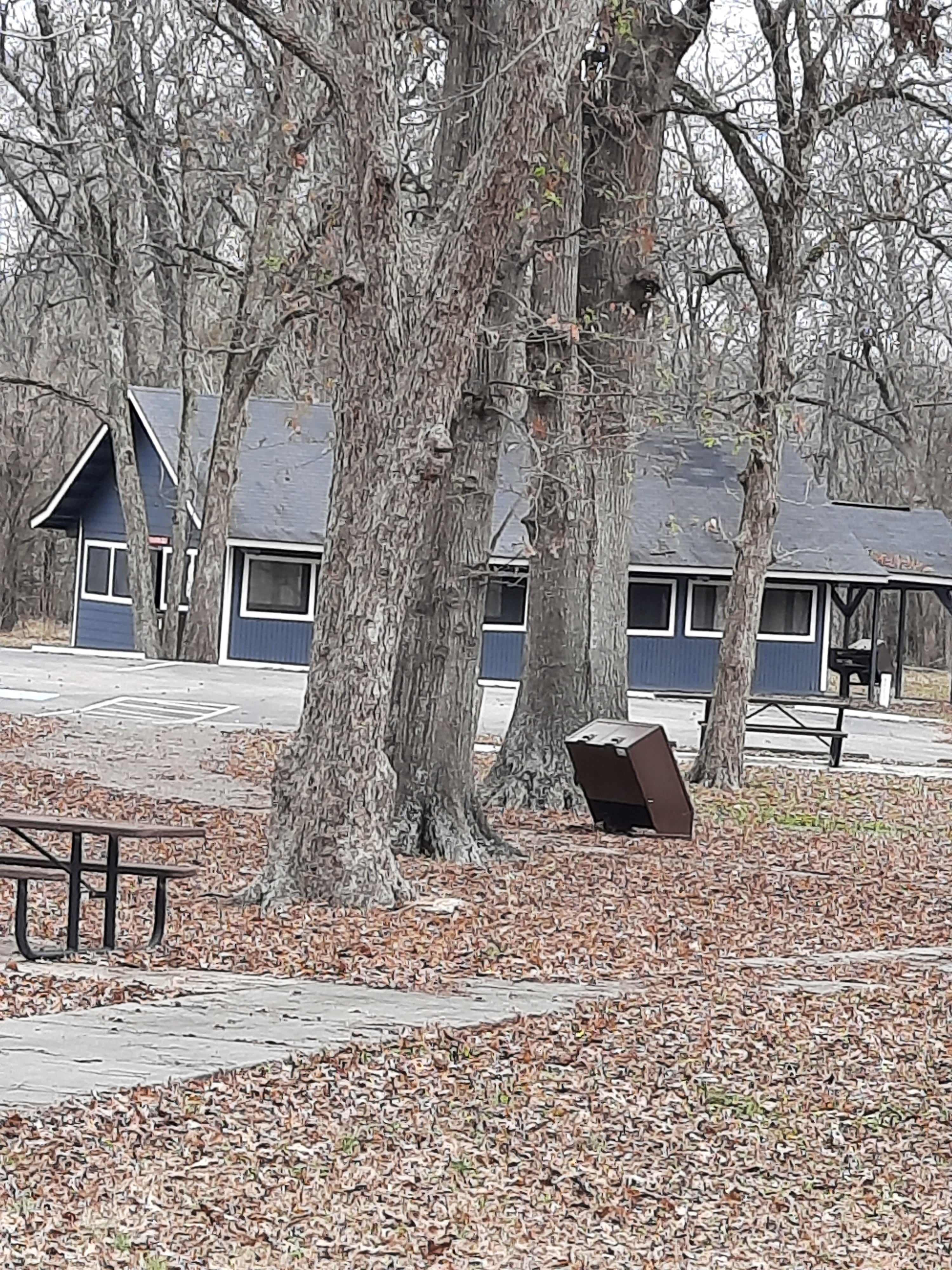Camper submitted image from Lake Chicot State Park Campground - 1