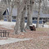 Review photo of Lake Chicot State Park Campground by Steve S., January 23, 2021