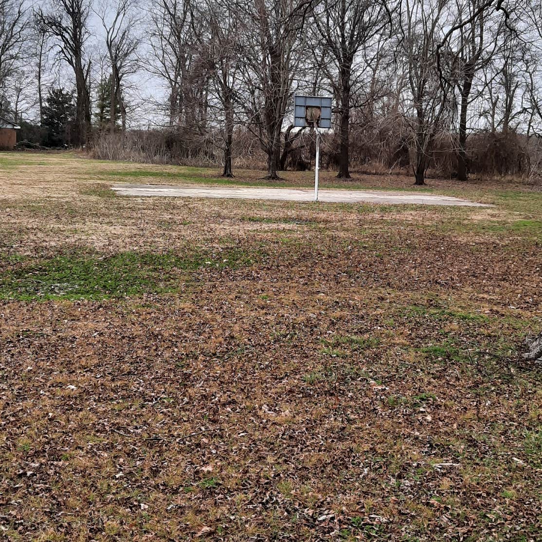 Lake Chicot State Park Camping 