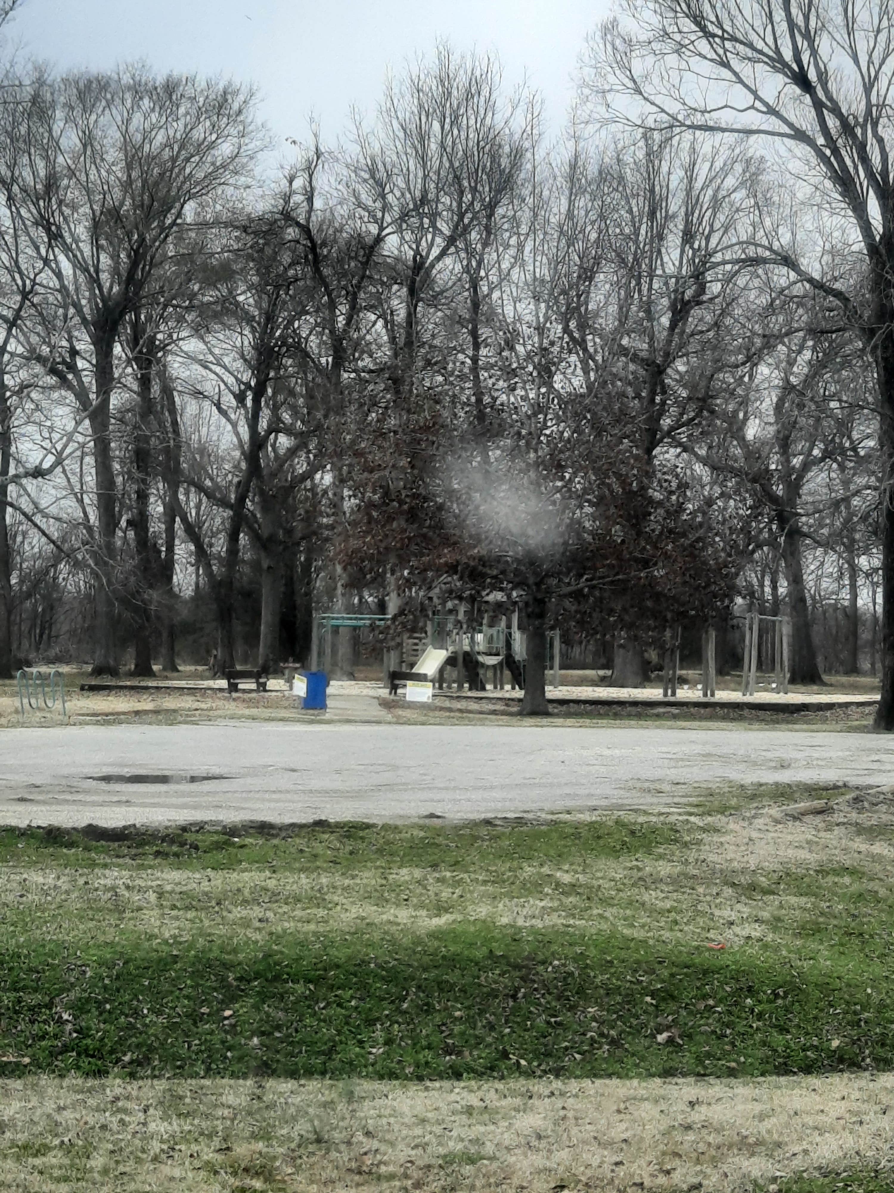 Camper-submitted photo at Lake Chicot State Park Campground near Brooklyn, MS