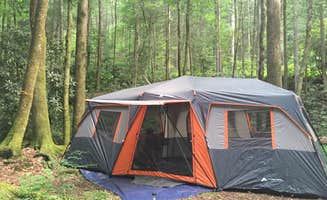 Jill H.'s photo at Upper Chattahoochee River Campground — Chattahoochee Oconee National Forest near Helen, GA