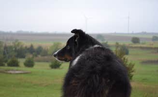 Matthew F.'s photo of camping with pets at Missile Silo Adventure Campground near Minneapolis, KS