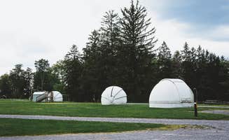 Trip Over Life's photo at Cherry Springs State Park Campground near Driftwood, PA