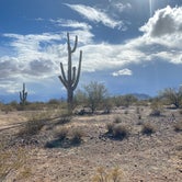 Review photo of Cactus Forest Dispersed by Angela G., January 24, 2021