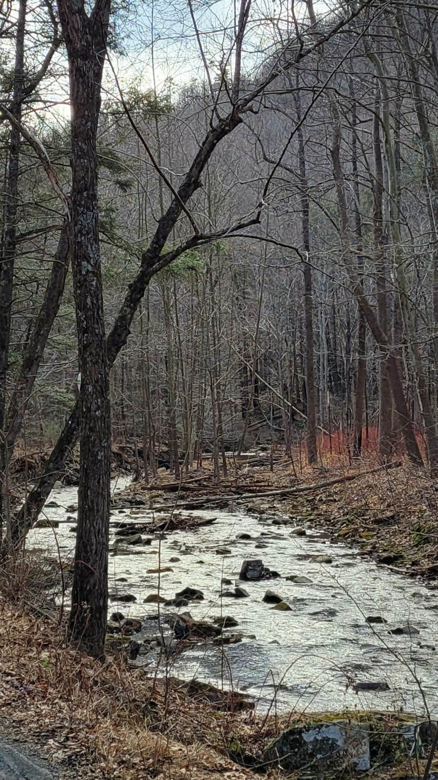 Camper-submitted photo at Hone Quarry near Singers Glen, VA