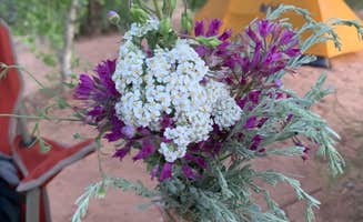 Angela G.'s photo at Kolob Terrace Road Dispersed in Utah
