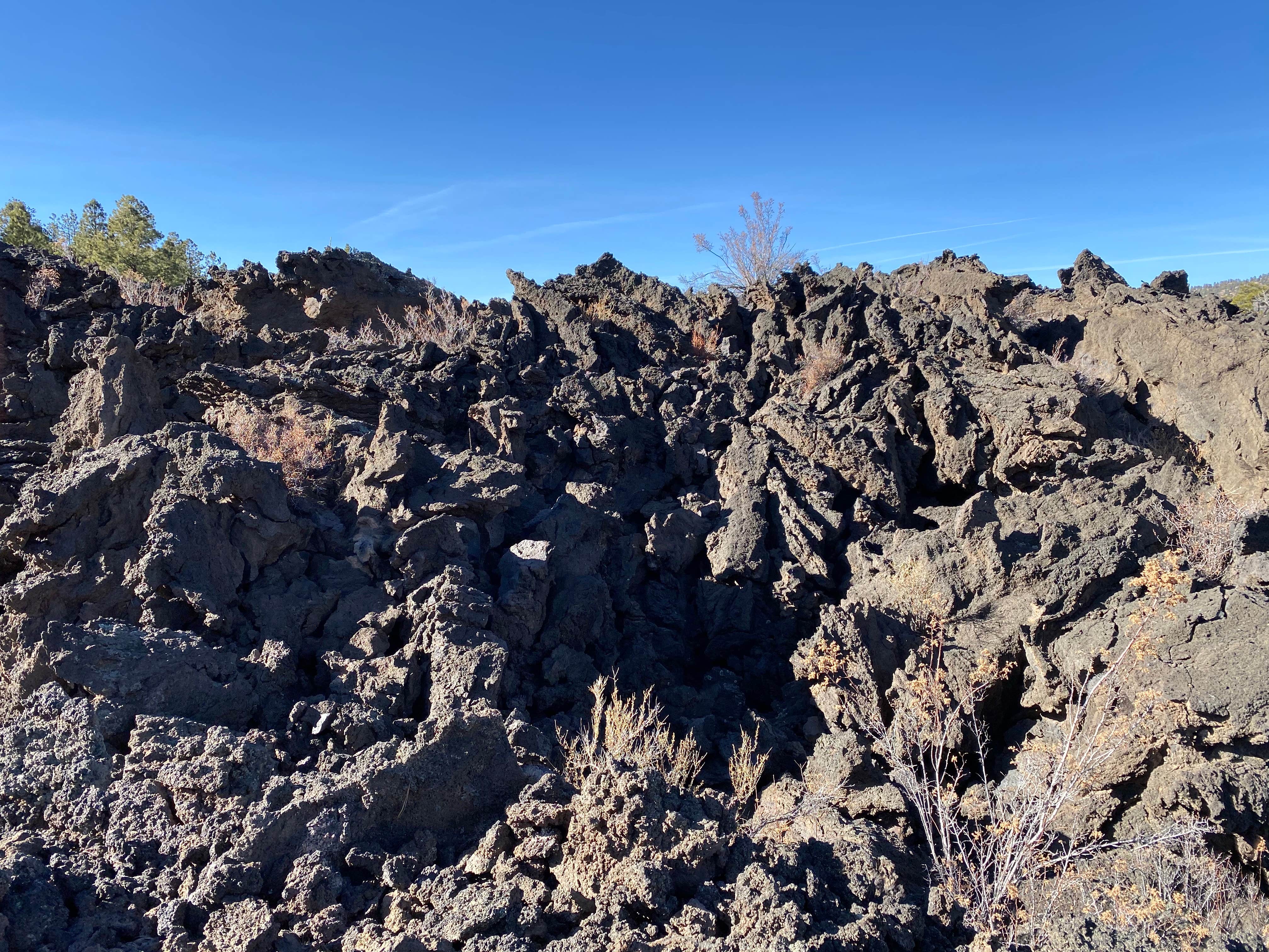 Camper-submitted photo at Walnut Canyon Rd Dispersed Camping - CLOSED UNTIL 2025 near Mormon Lake, AZ