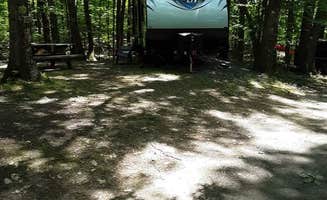 Tammy T.'s photo at Caton Place Campground near Springfield, VT