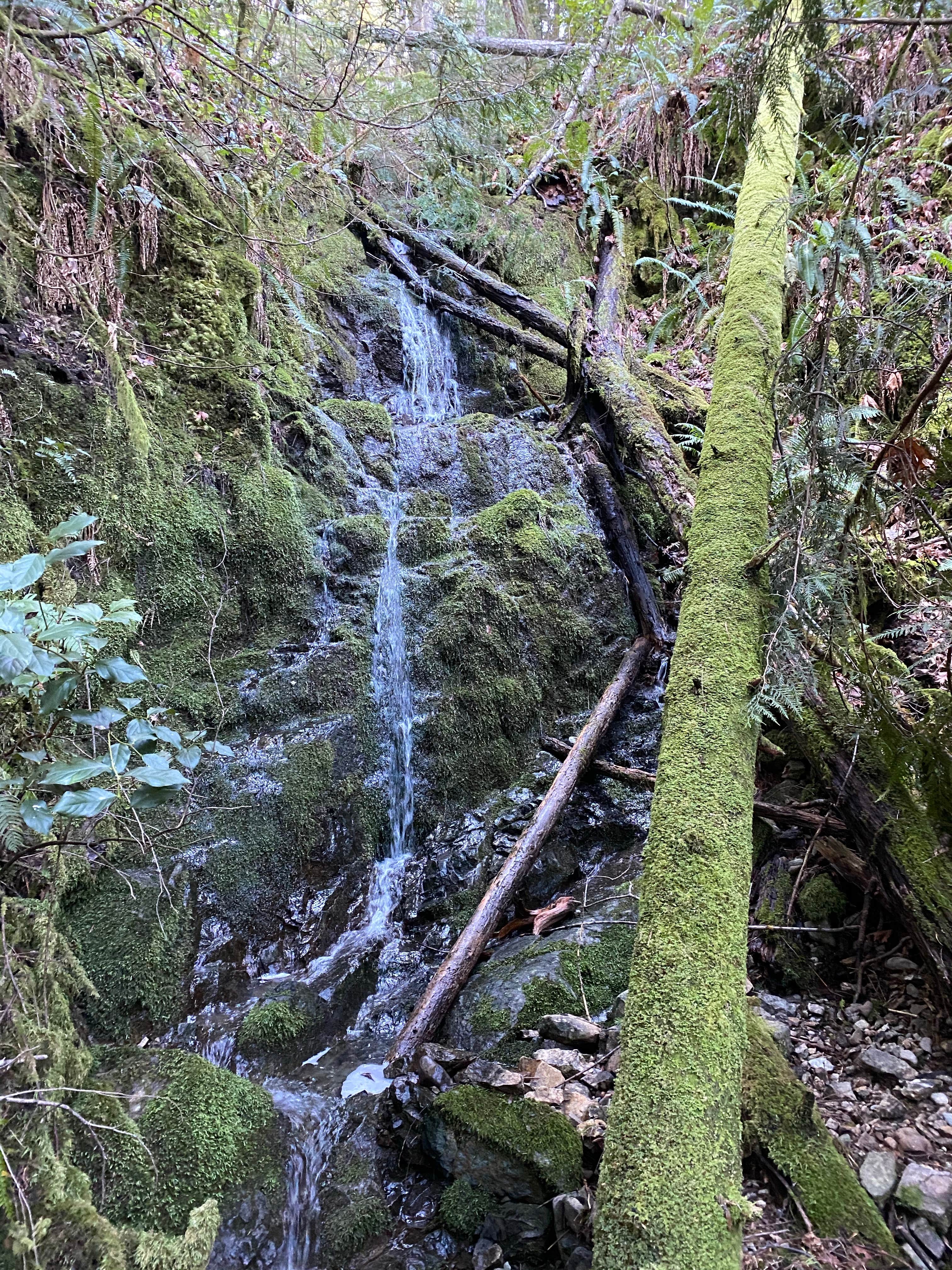 Dosewallips State Park Campground