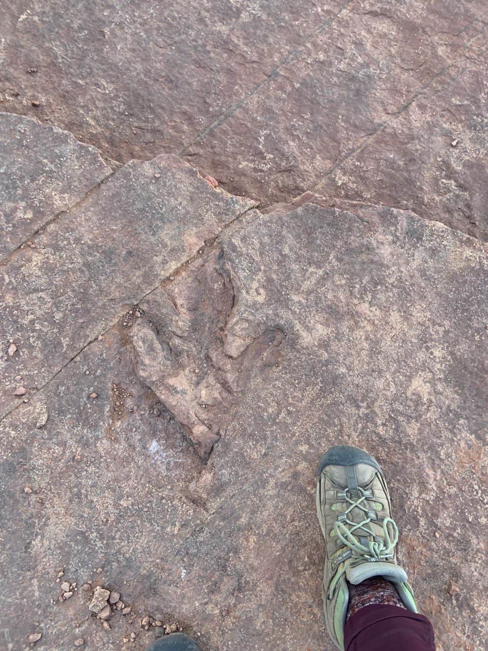 Camper-submitted photo at Red Fleet State Park Campground near Flaming Gorge, UT