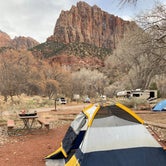 Review photo of Watchman Campground — Zion National Park by Angela G., January 24, 2021