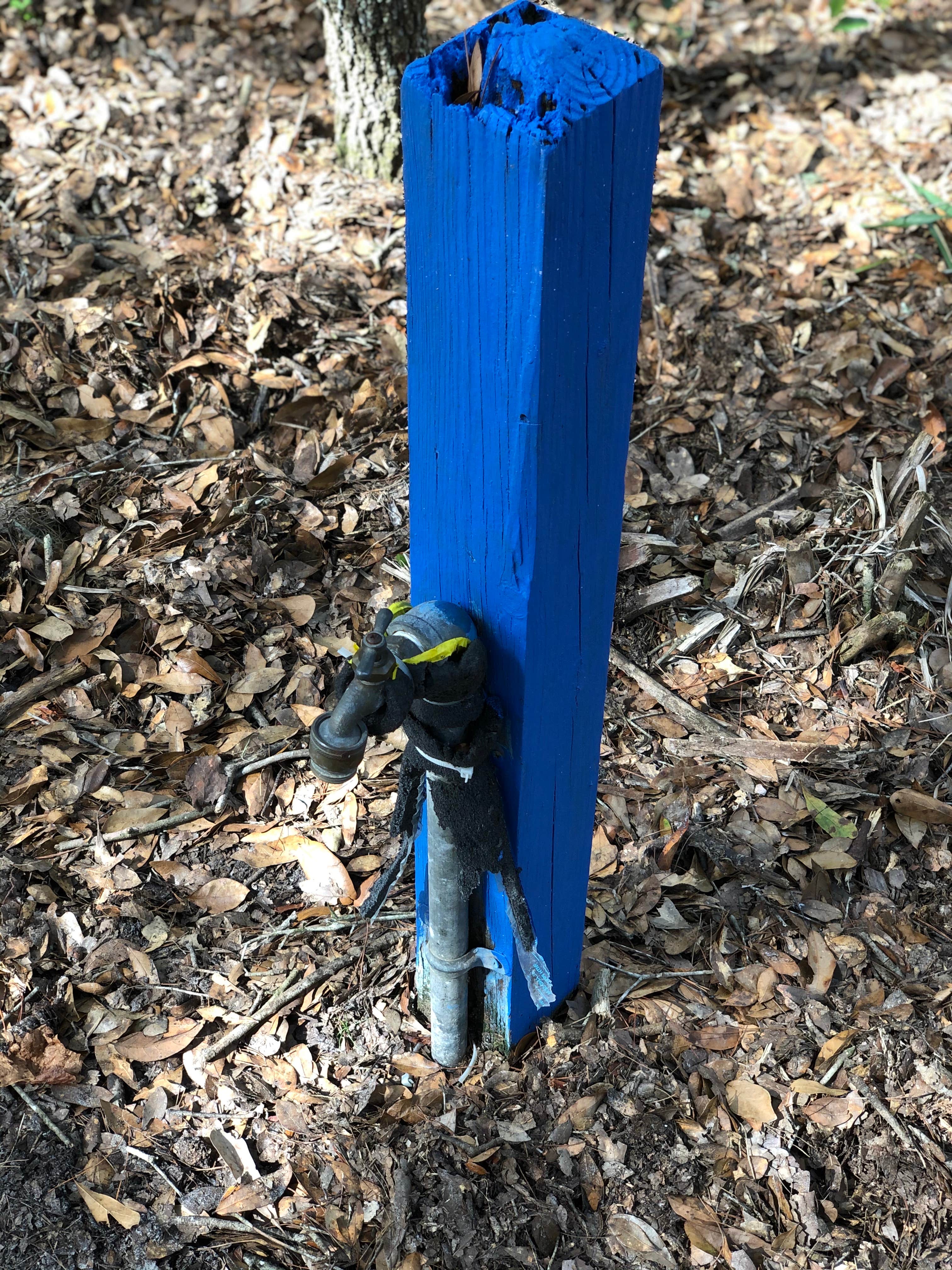 Jay B. Starkey Wilderness Park