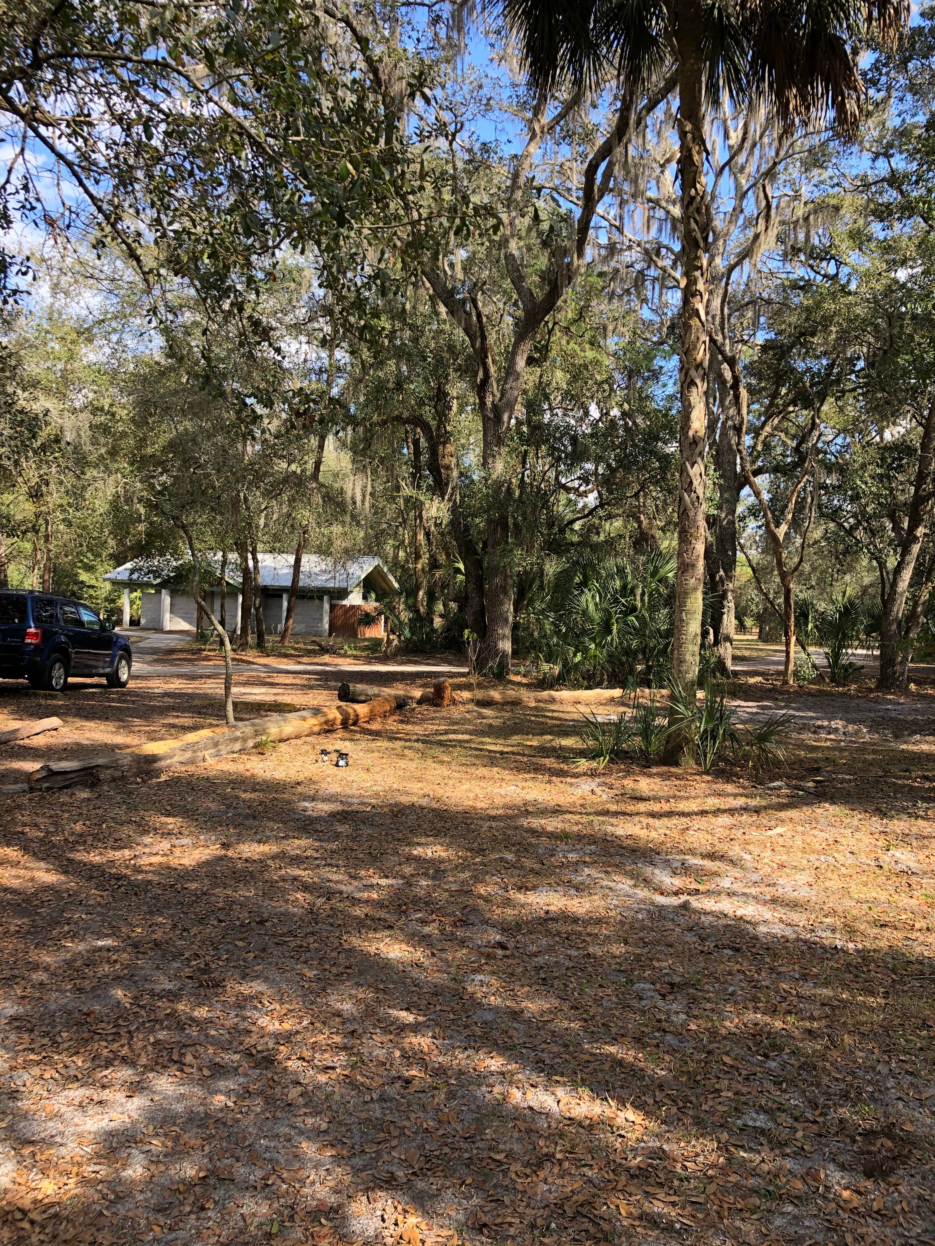 Shaun C.'s photo at Jay B. Starkey Wilderness Park near Odessa, FL