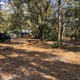 Review photo of Jay B. Starkey Wilderness Park by Shaun C., January 24, 2021