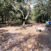 Review photo of Jay B. Starkey Wilderness Park by Shaun C., January 24, 2021