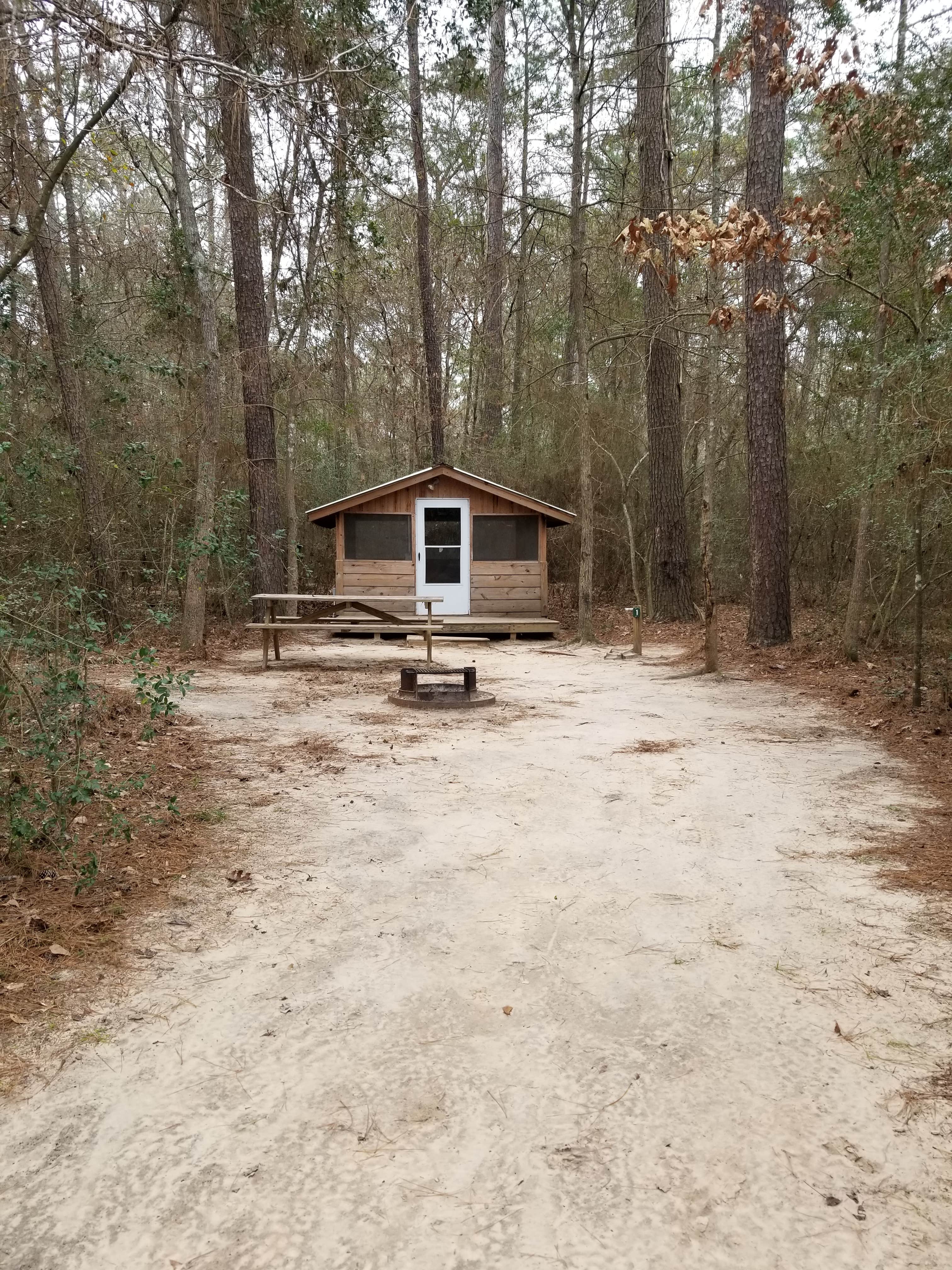 Camper submitted image from Lake Houston Wilderness Park - 1