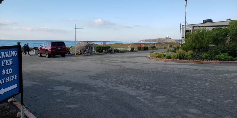 Camper submitted image from Pillar Point RV Park