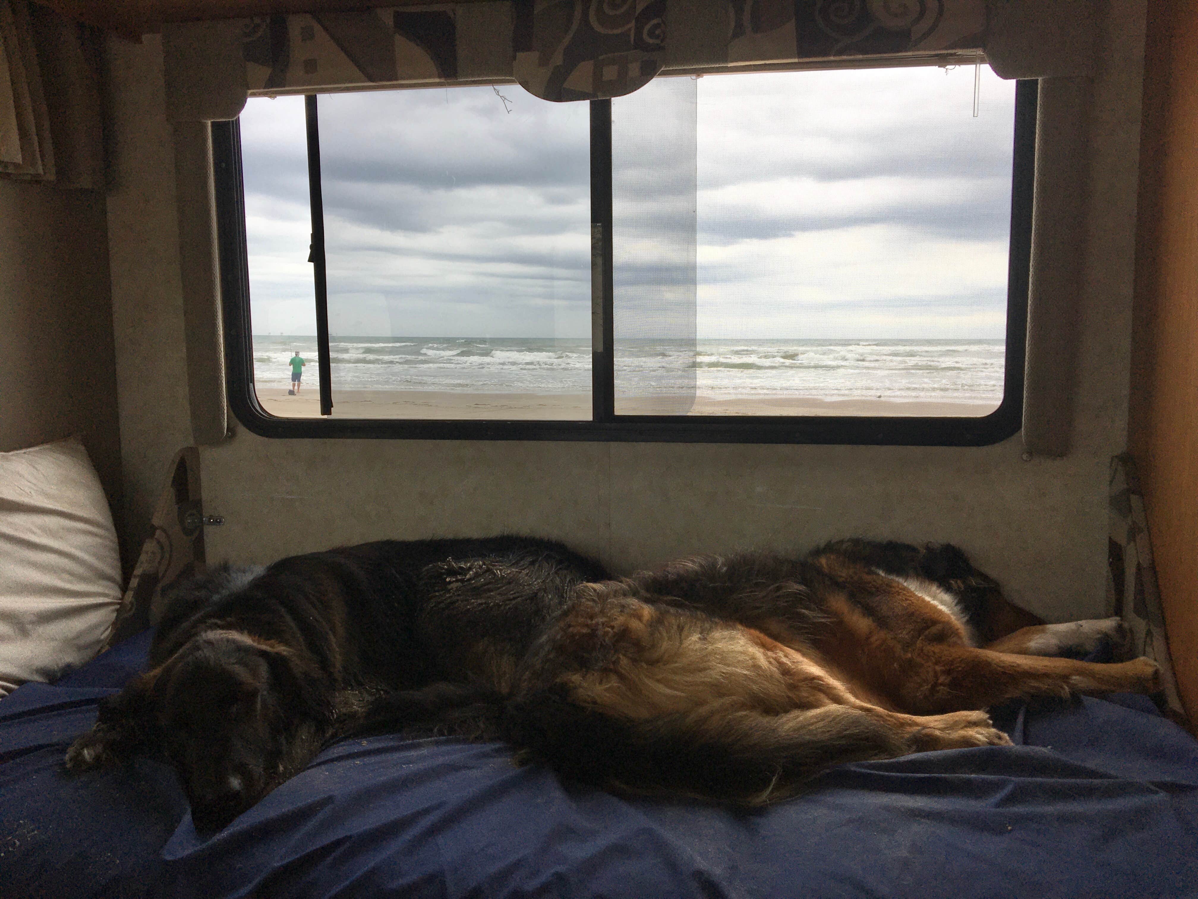 Camper-submitted photo at Port Aransas Permit Beach near Corpus Christi, TX