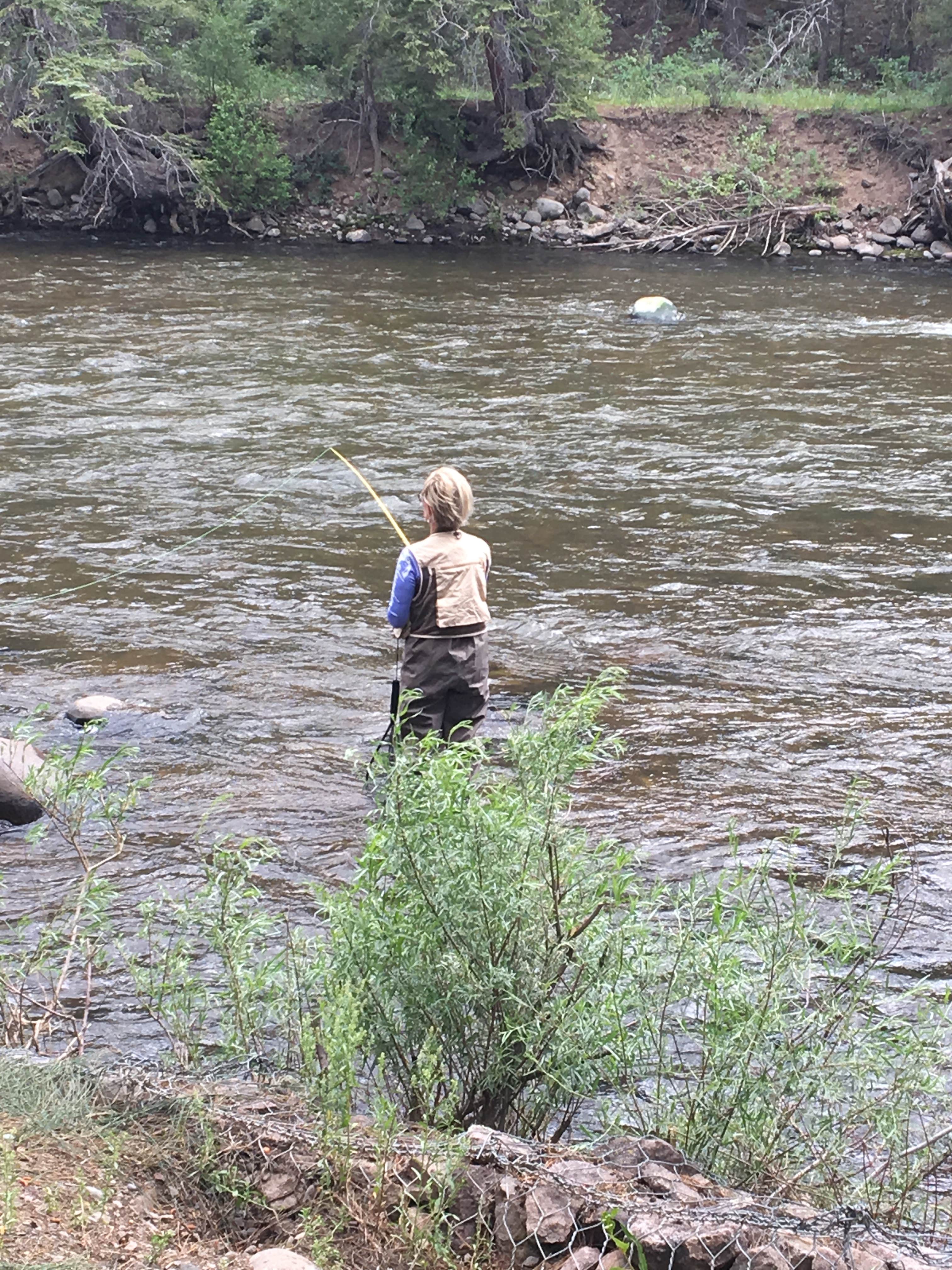 Camper-submitted photo at Aspen Glade (rio Grande National Forest, Co) near La Jara, CO