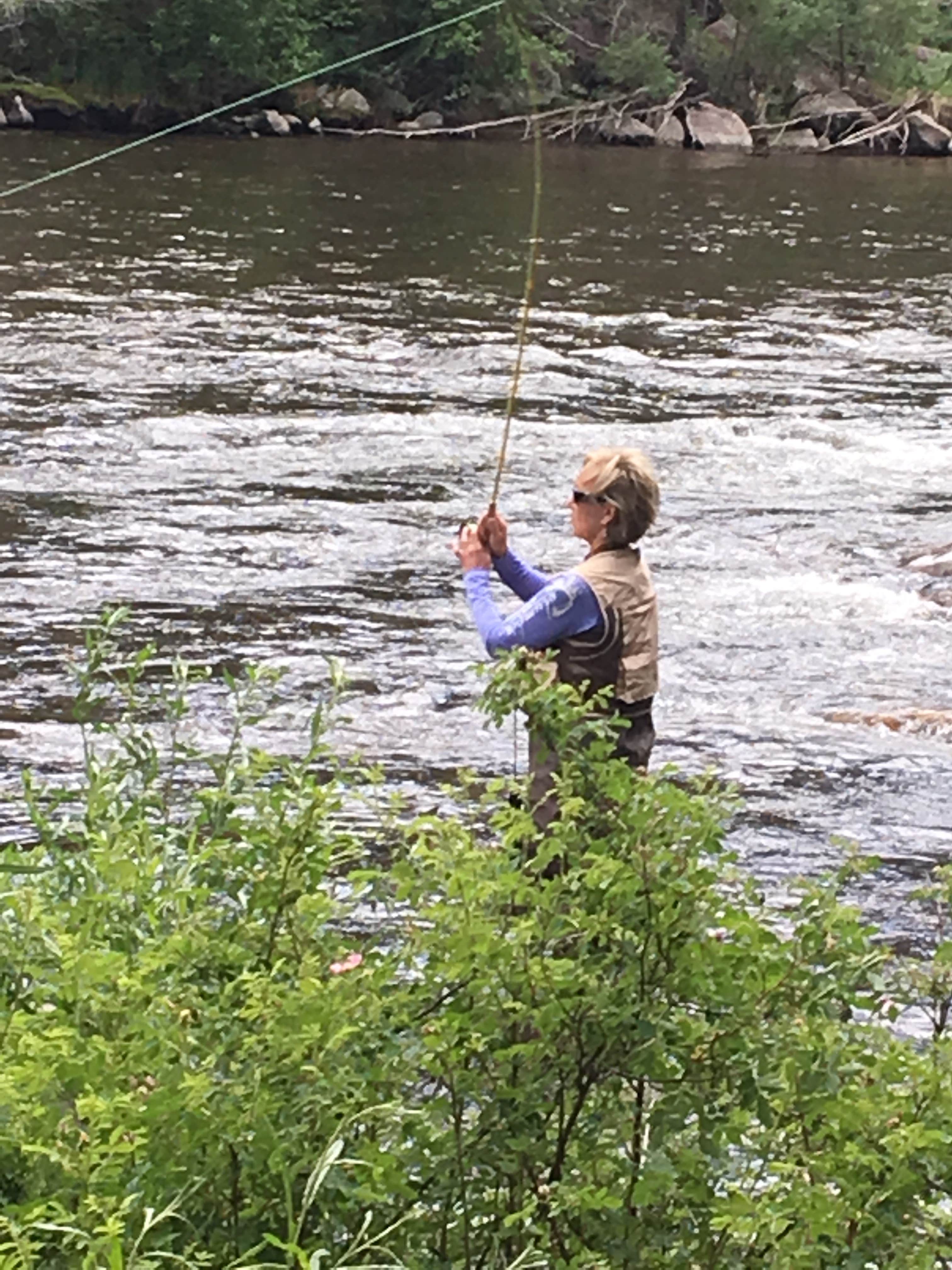 Camper-submitted photo at Aspen Glade (rio Grande National Forest, Co) near La Jara, CO