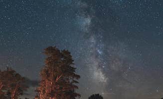 Trip Over Life's photo at Cherry Springs State Park Campground near Westfield, PA