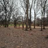 Review photo of Warfield Point Park by Steve S., January 25, 2021