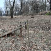 Review photo of Warfield Point Park by Steve S., January 25, 2021