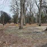 Review photo of Warfield Point Park by Steve S., January 25, 2021