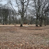 Review photo of Warfield Point Park by Steve S., January 25, 2021