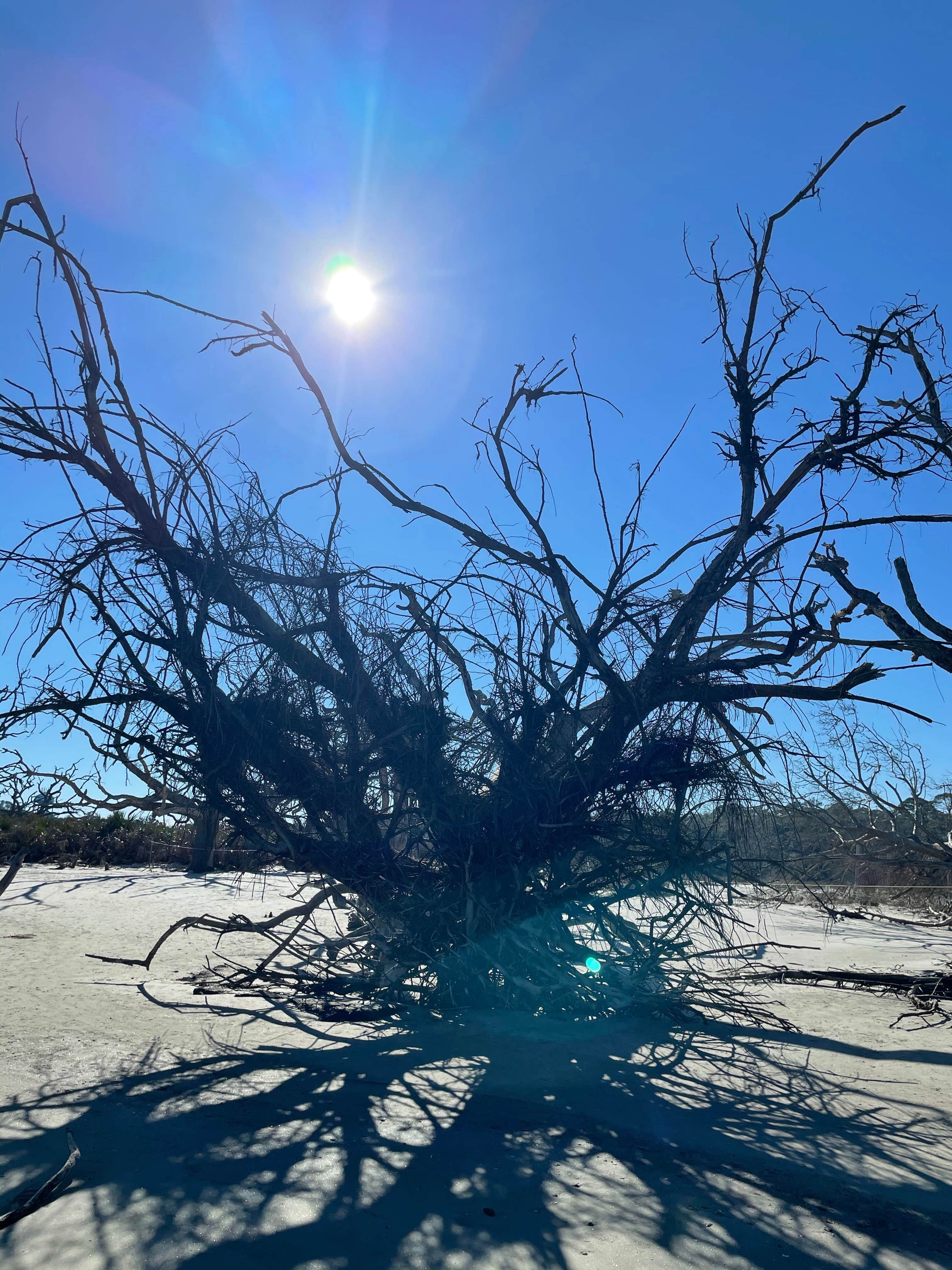 Jekyll Island Campground
