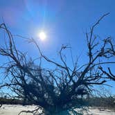 Review photo of Jekyll Island Campground by Patrick H., January 25, 2021