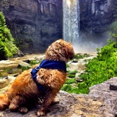 Review photo of Taughannock Falls State Park Campground by Matt G., July 12, 2016