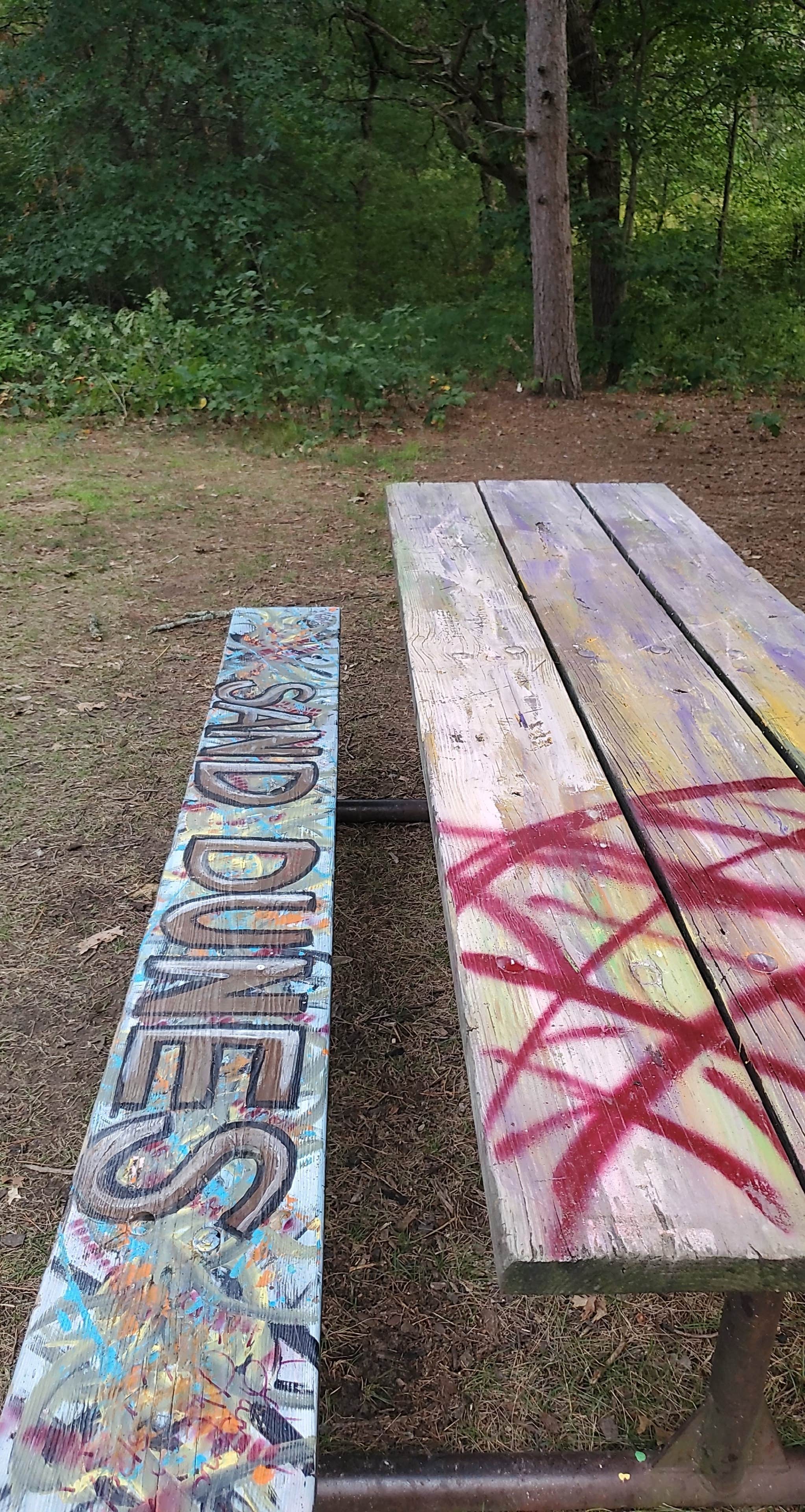 Camper-submitted photo at Ann Lake near White Bear Lake, MN