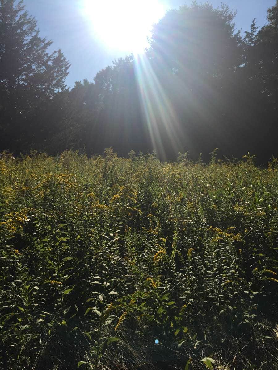 Boulder Point Campground