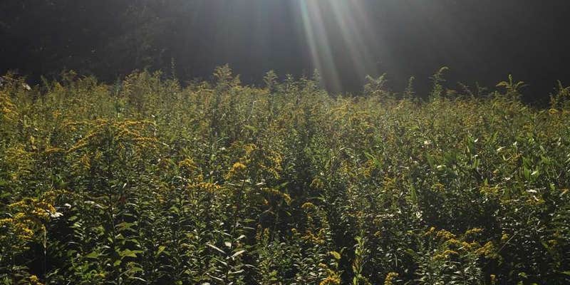 Camper submitted image from Boulder Point Campground