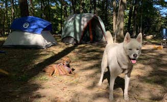 Richard S.'s photo of camping with pets at Boulder Point Campground near Arden, NY